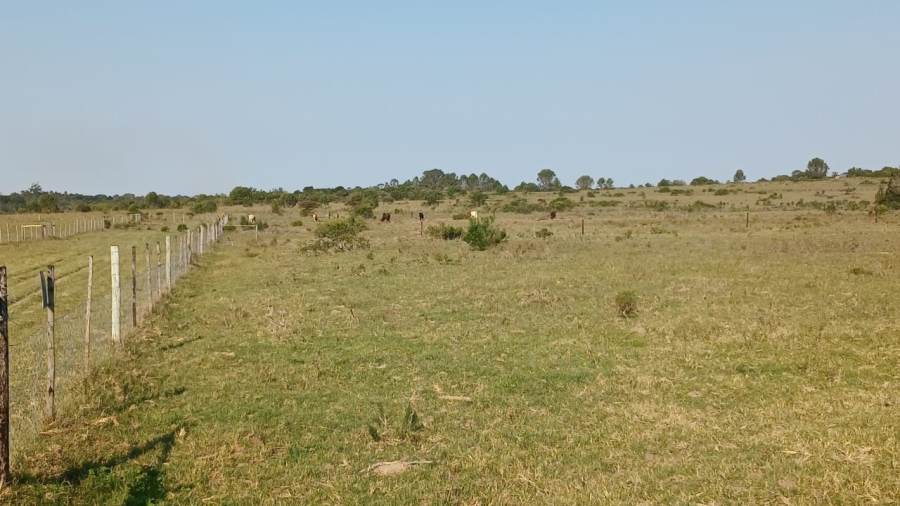 Commercial Property for Sale in Bathurst Eastern Cape